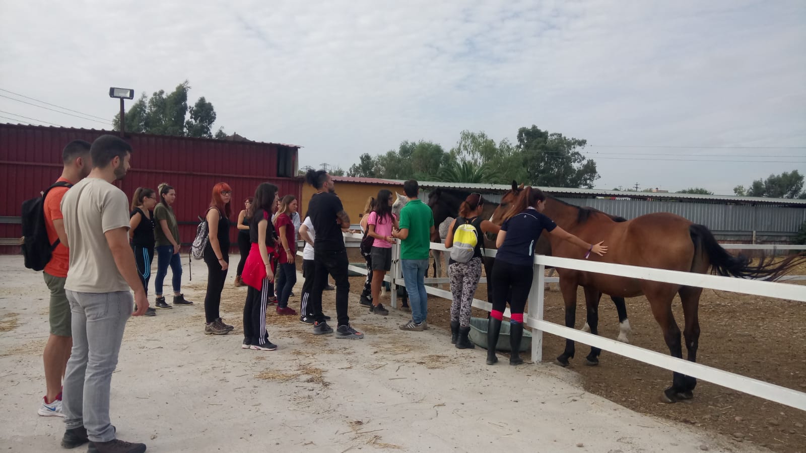 Estudia y Trabaja con Caballos