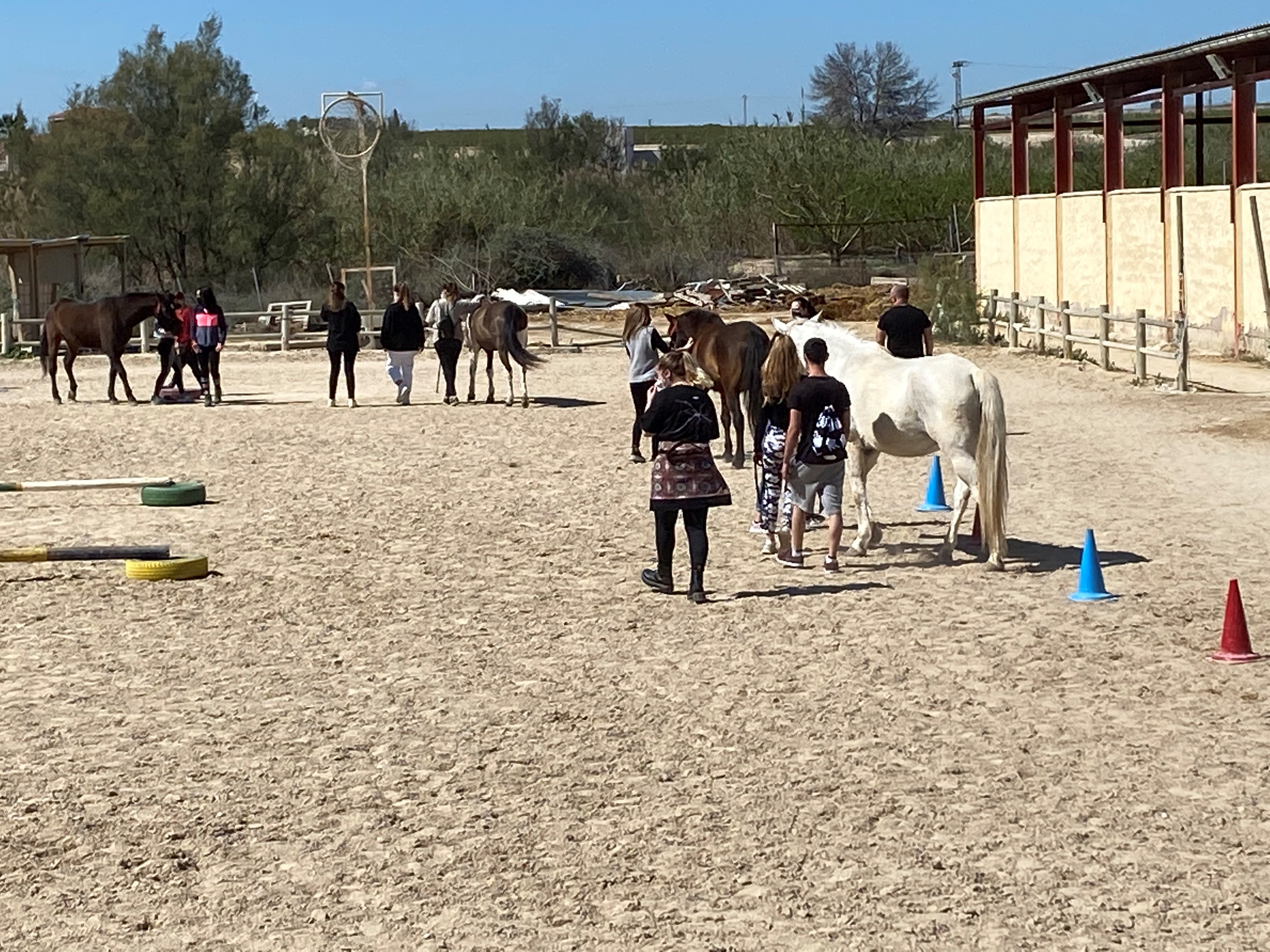 Estudia y Trabaja con Caballos