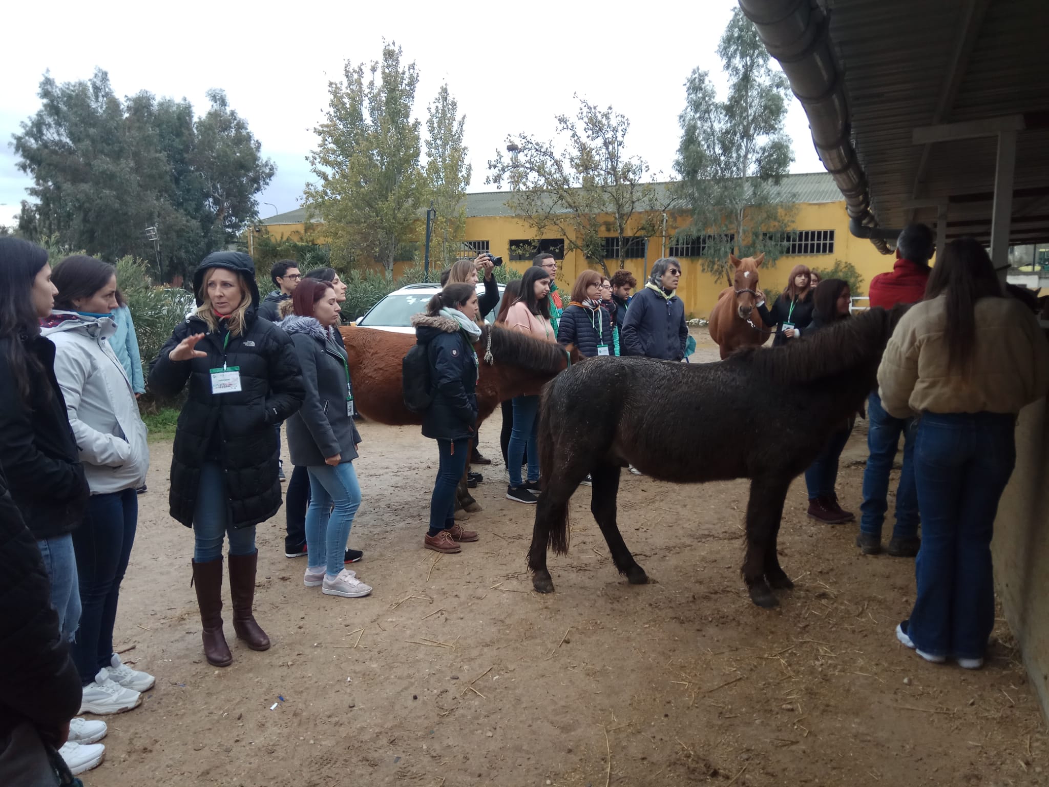 Estudia y Trabaja con Caballos