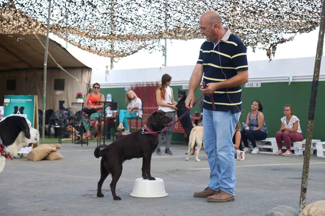 Actividades con Caninos