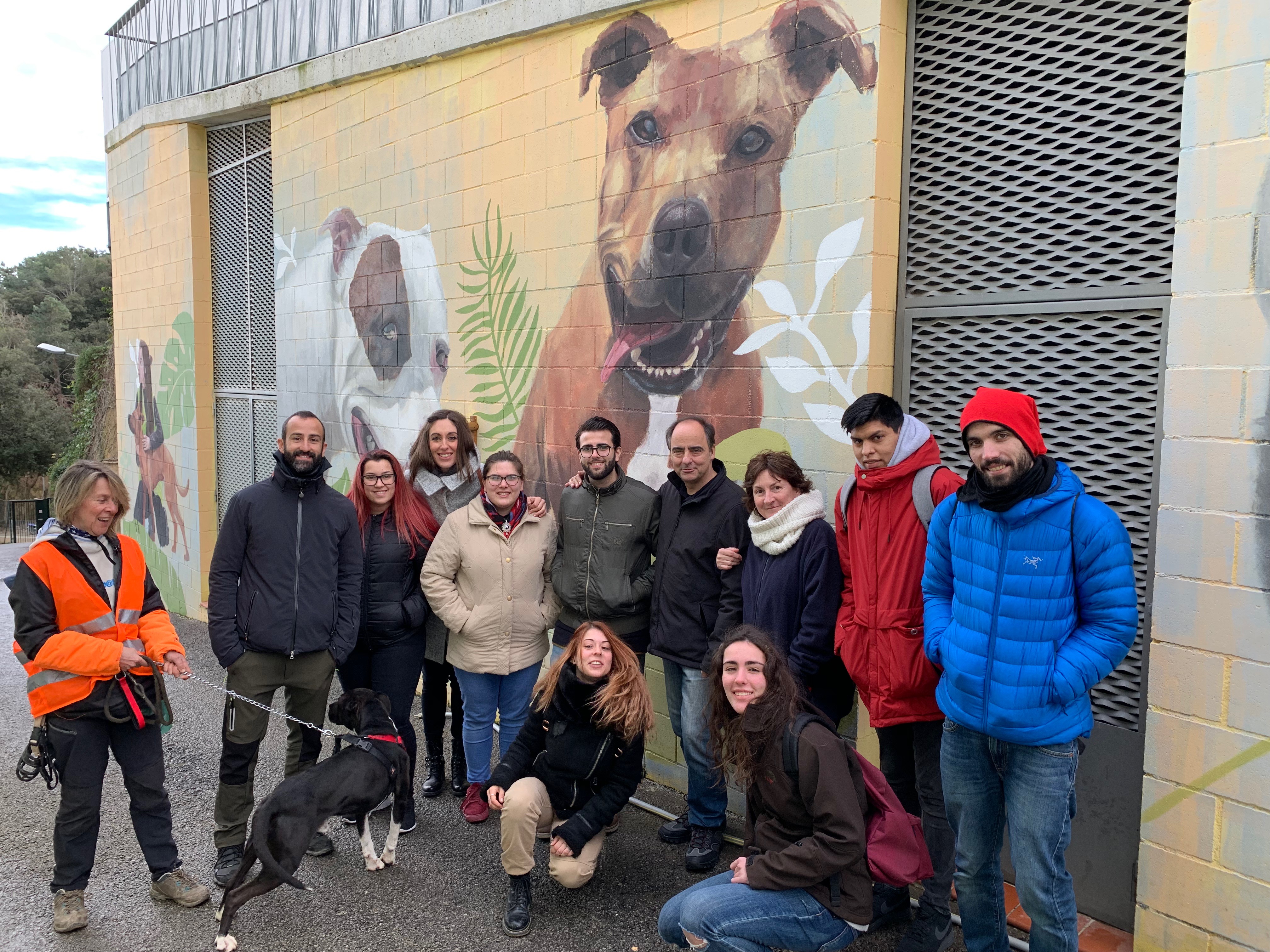 Actividades con Caninos