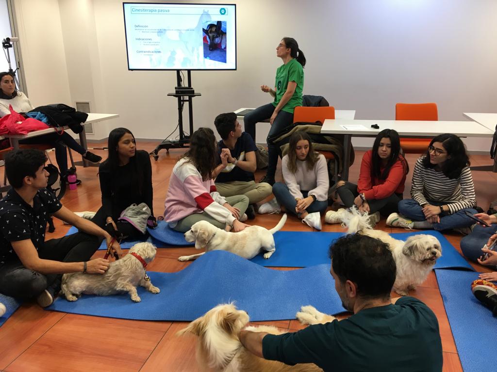 Actividades con Caninos