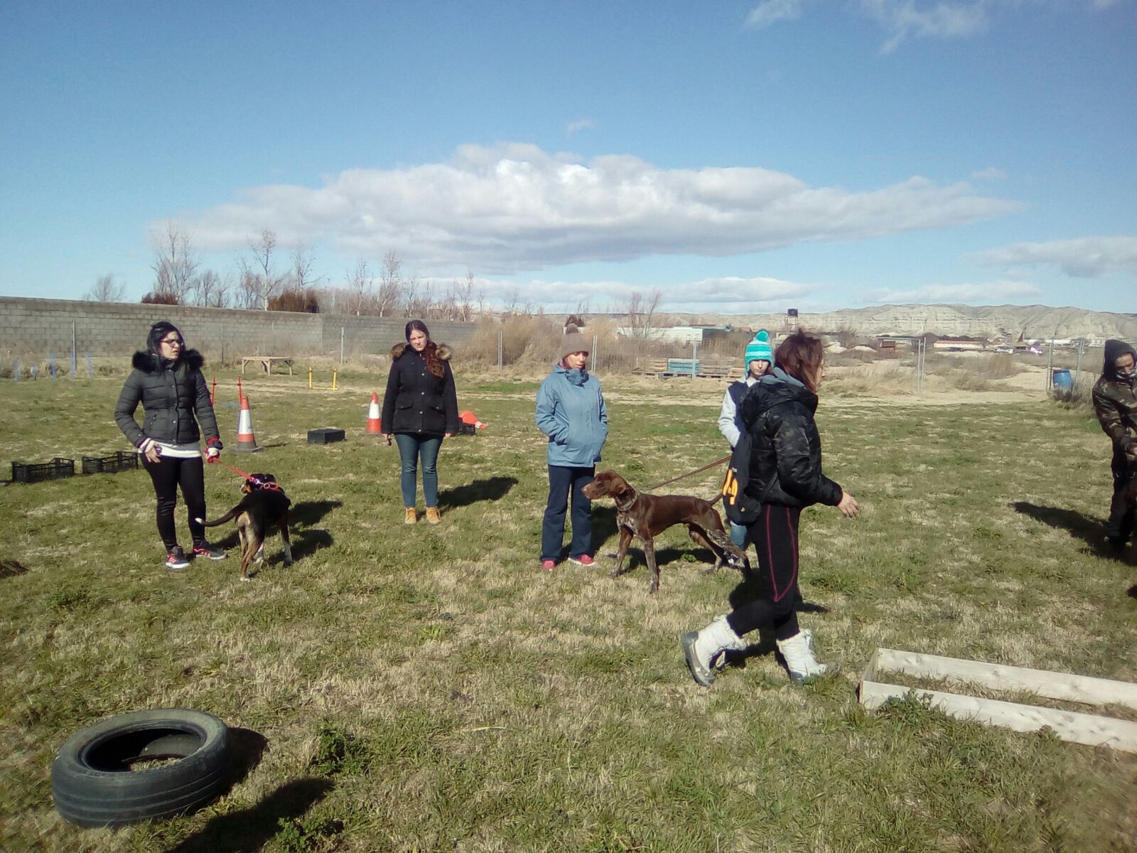 Actividades con Caninos