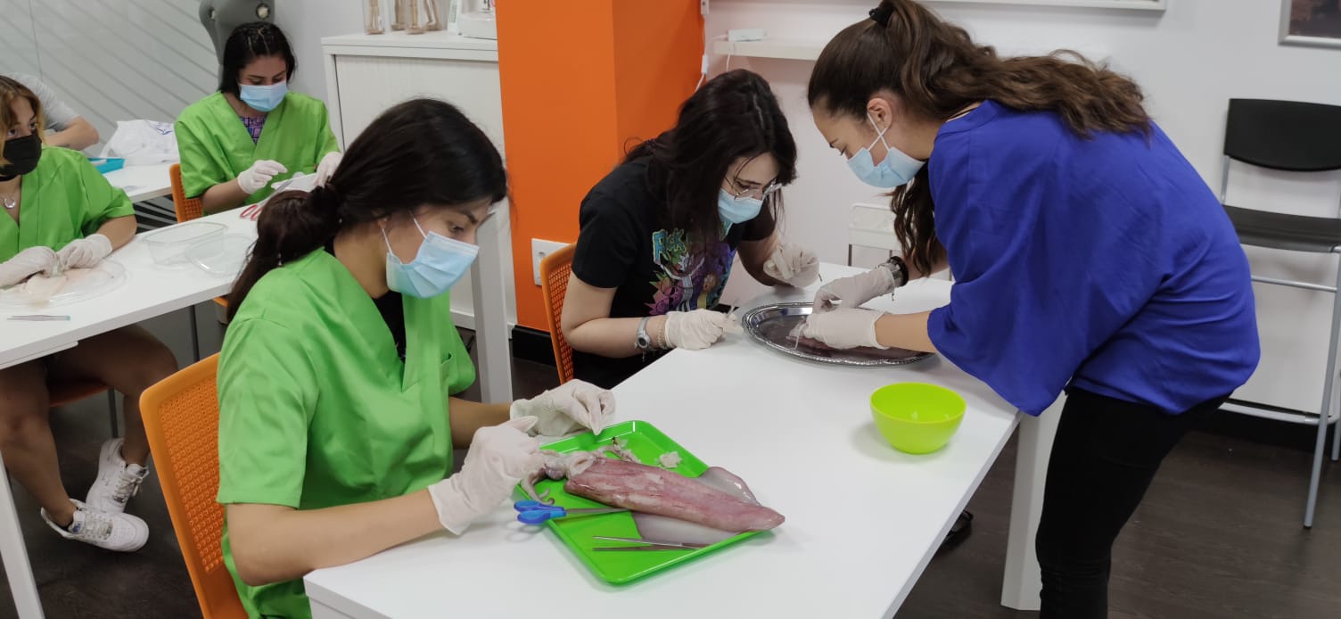 Clases y Talleres de Clínica Veterinaria