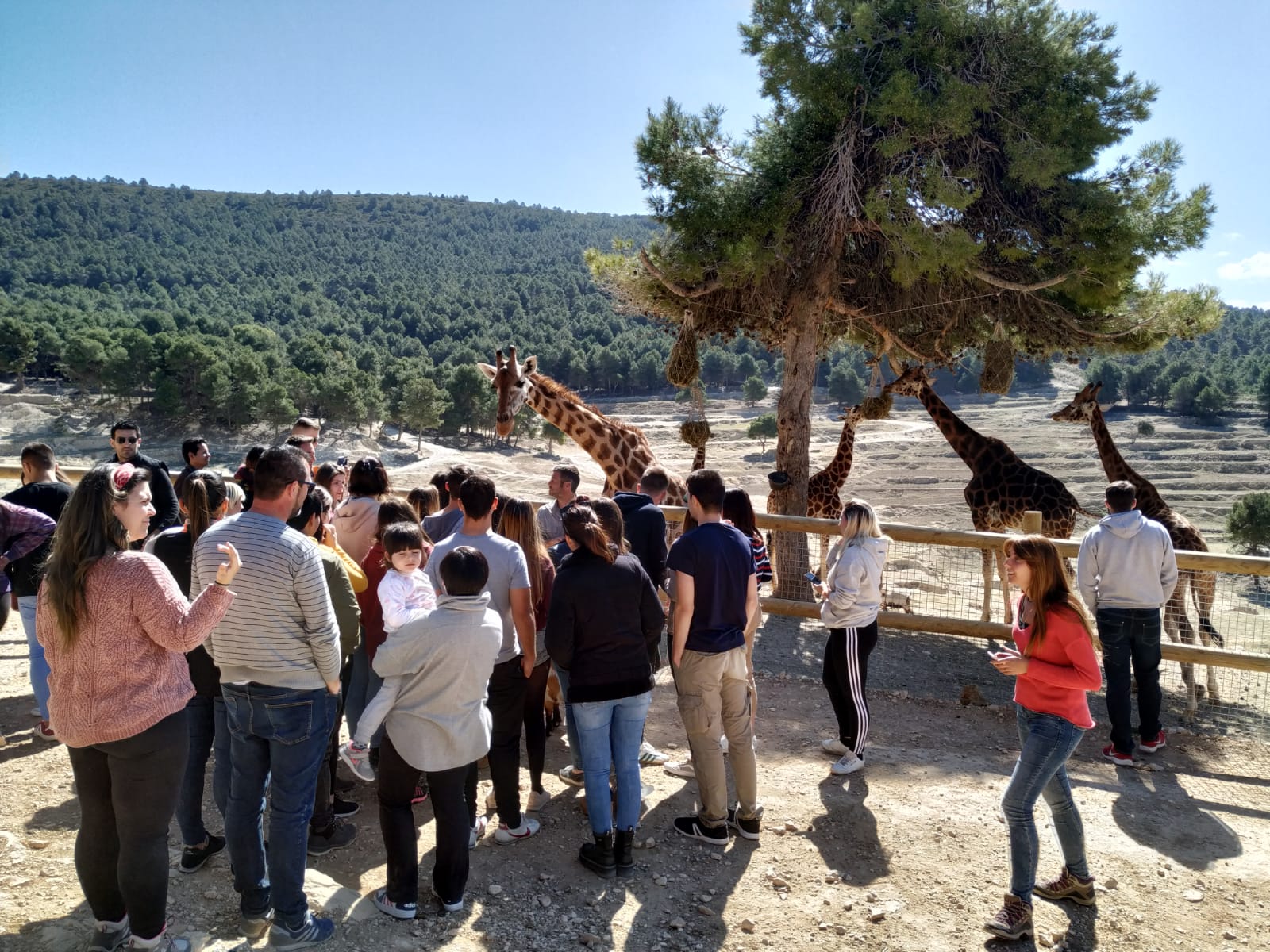 Actividades en Zoológicos