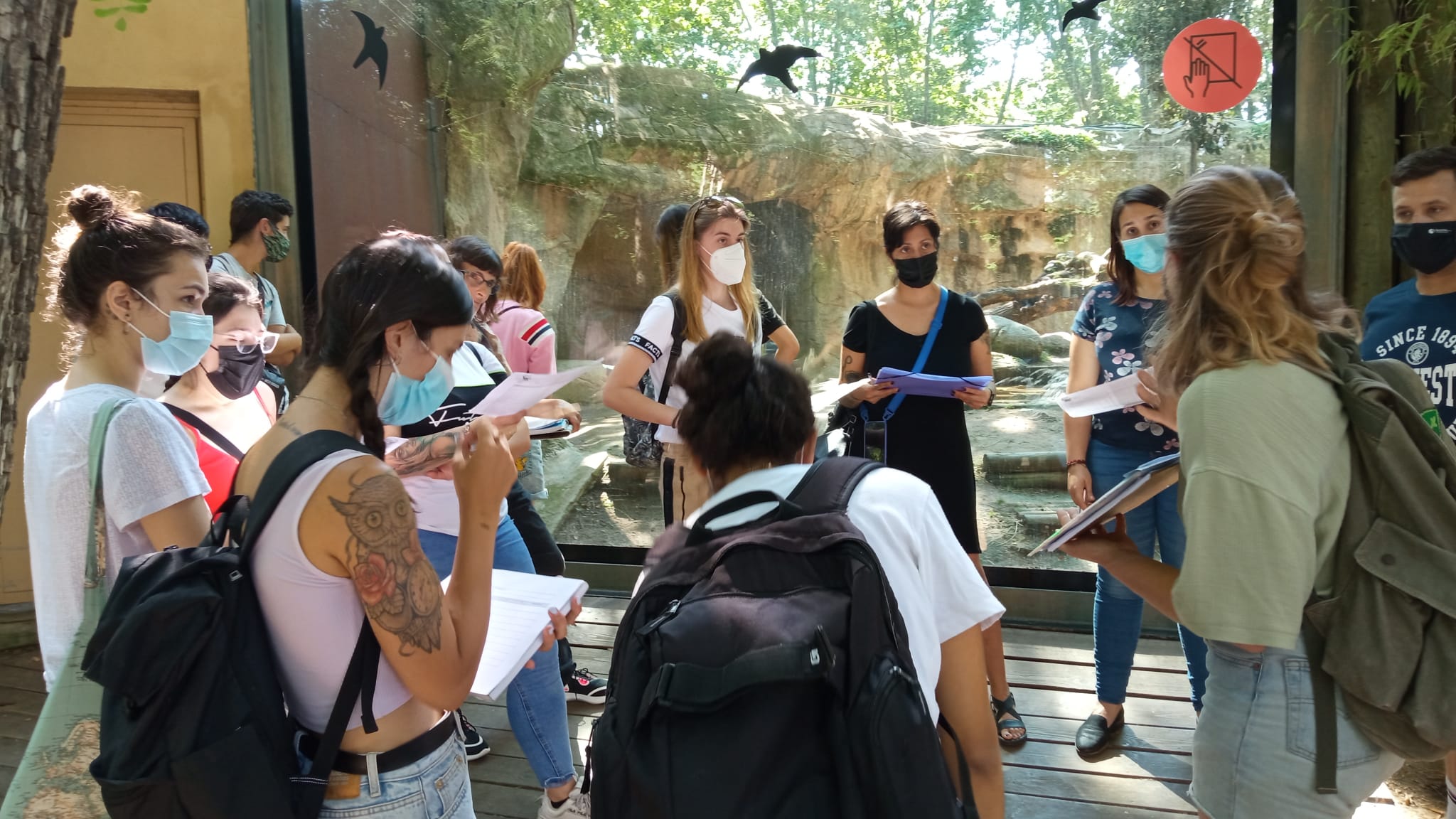 Actividades en Zoológicos