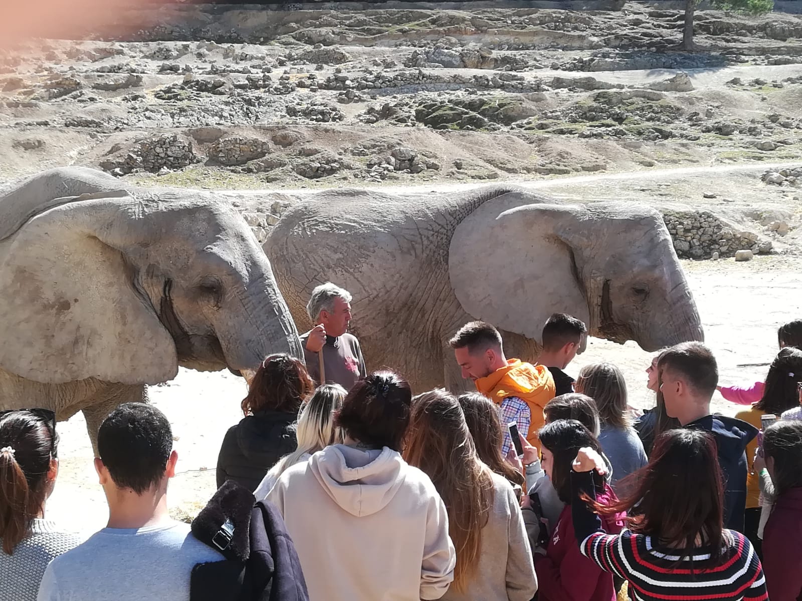 Actividades en Zoológicos