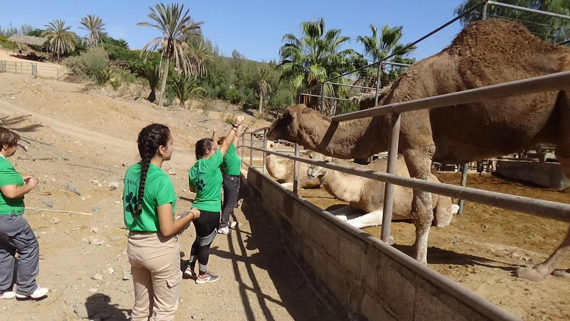 Actividades en Zoológicos