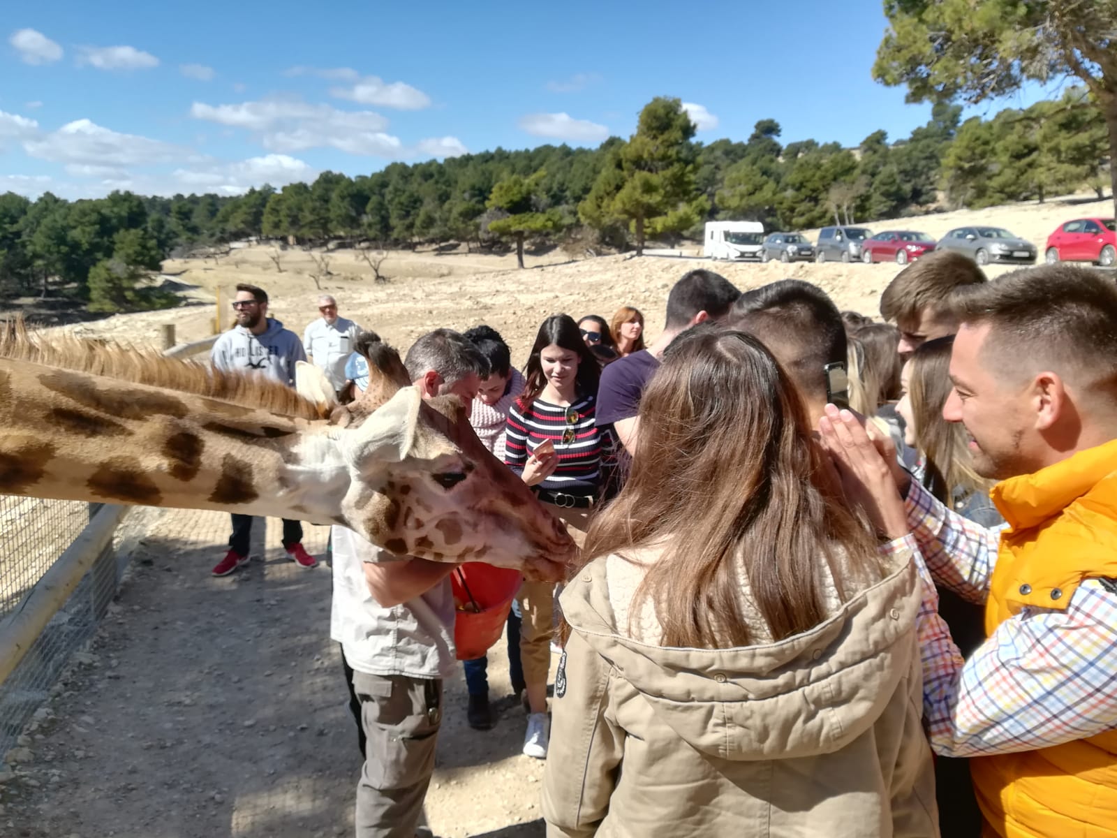 Actividades en Zoológicos