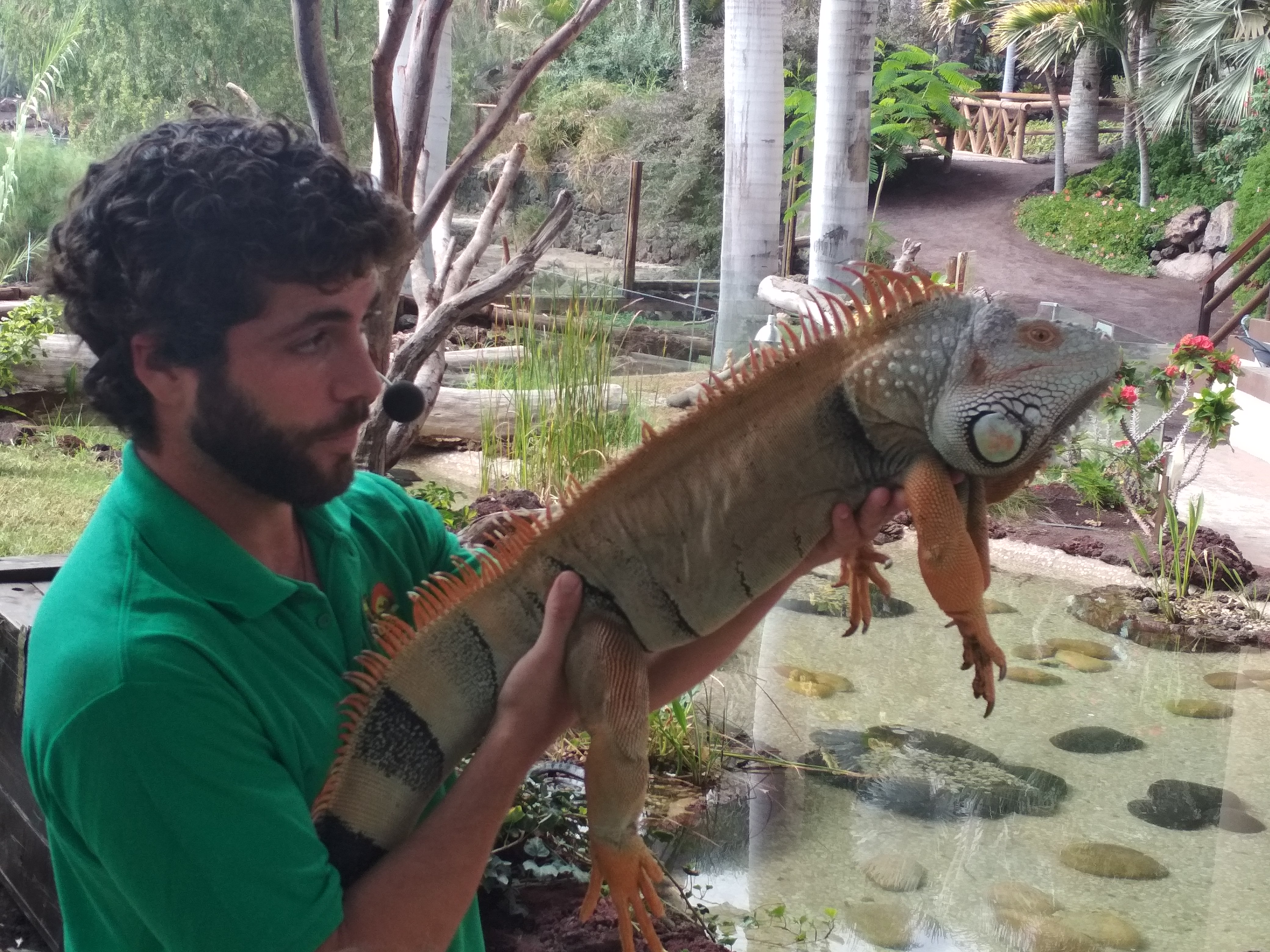 Actividades en Zoológicos