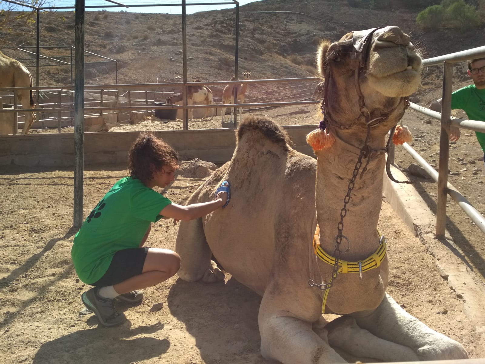 Actividades en Zoológicos