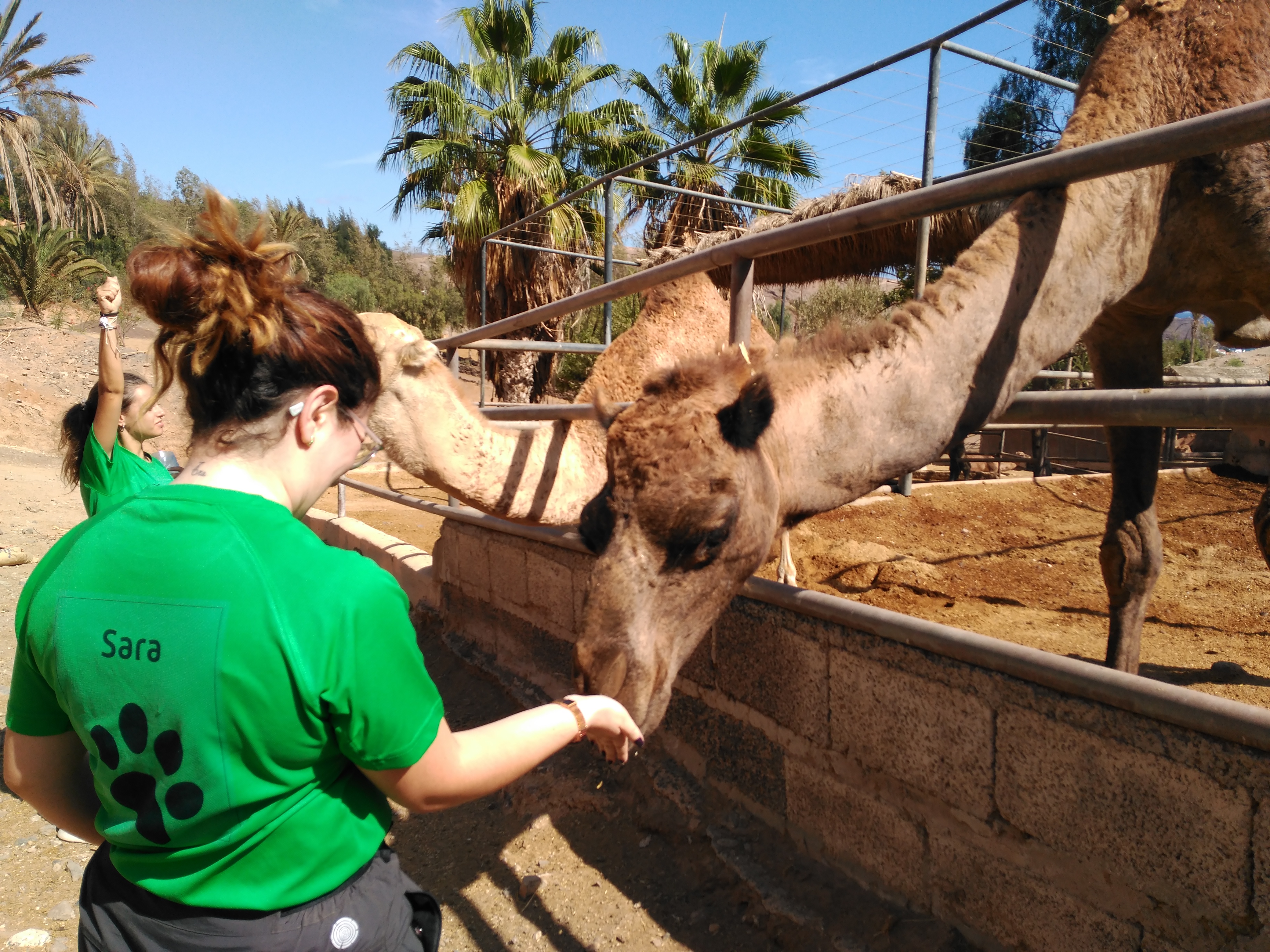 Actividades en Zoológicos