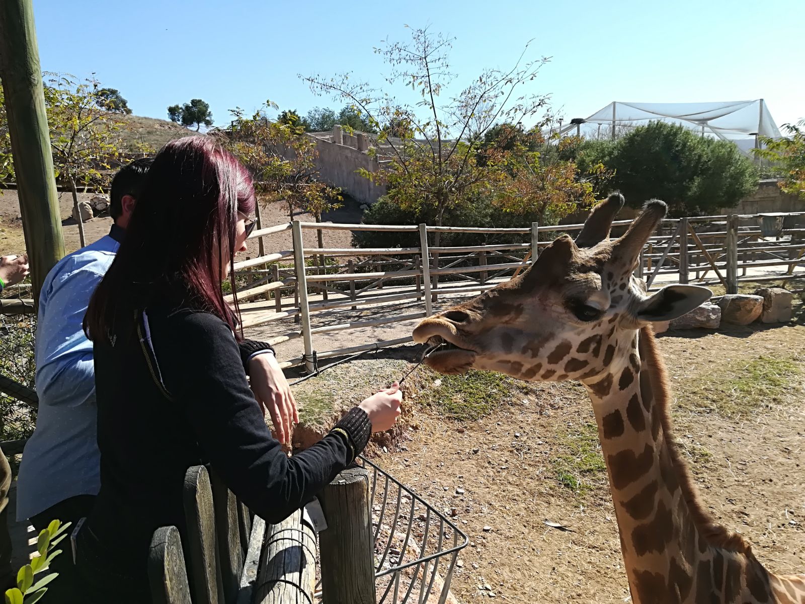 Actividades en Zoológicos