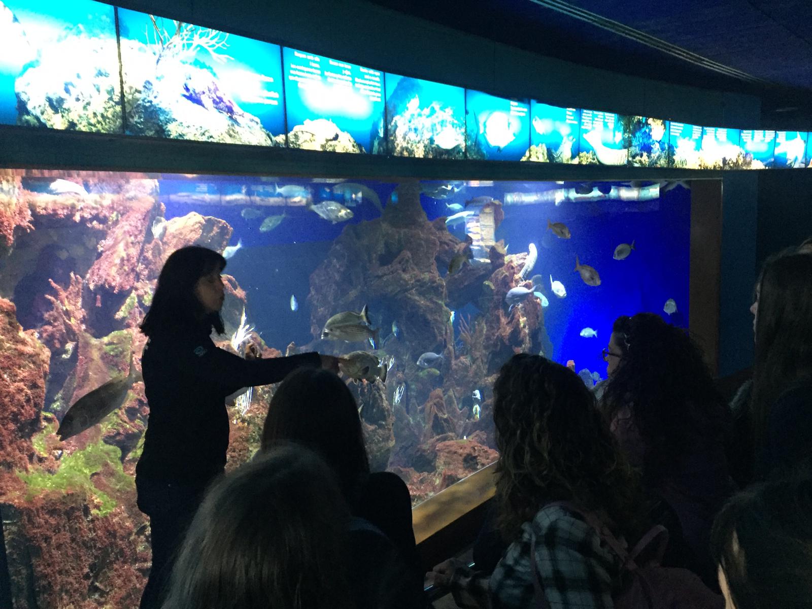 Actividades en Zoológicos