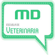 MasterD Huelva: Entrevista Auxiliar Clínica Veterinaria