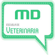 Testimonio del curso de Auxiliar y Asistente Técnico de clínica veterinaria