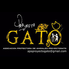 proyecto-gato