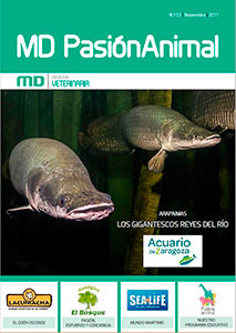 Portada MD PasiónAnimal 3